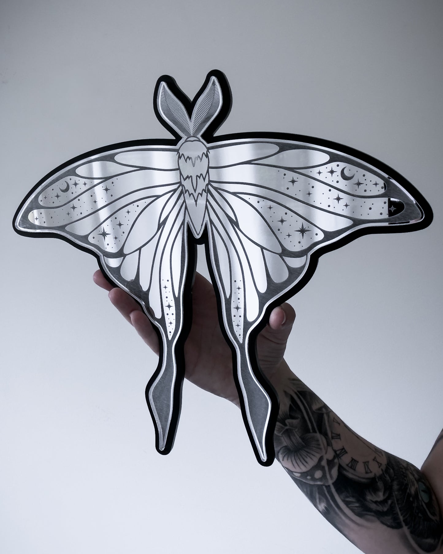 Luna moth mirror wall art being held for scale gothic decor