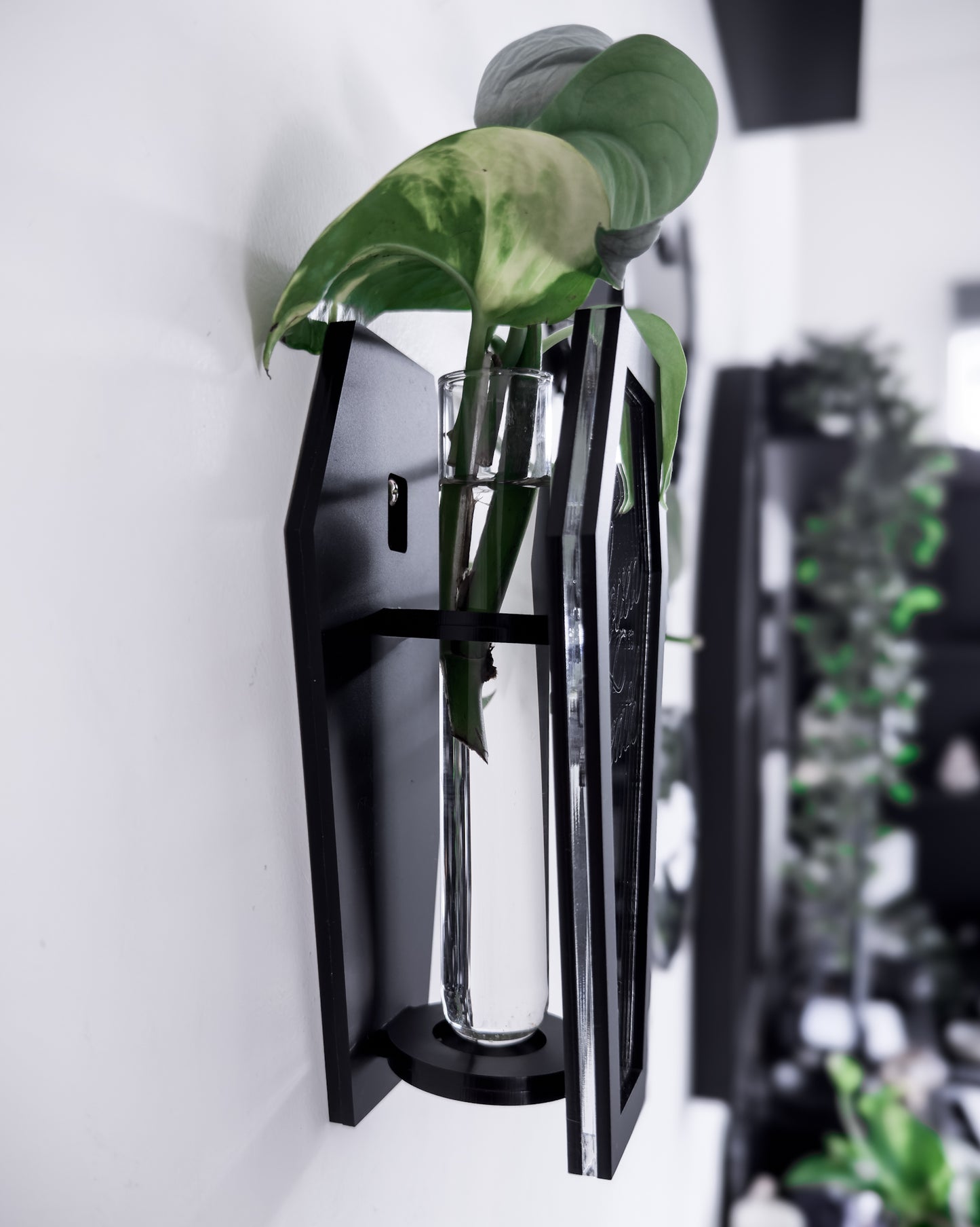 Side view of black coffin wall propagation vase holding a glass tube and plant cutting
