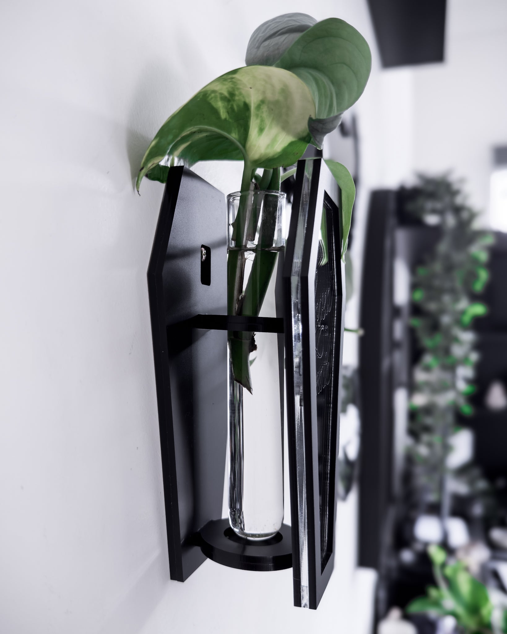 Side view of black coffin wall propagation vase holding a glass tube and plant cutting