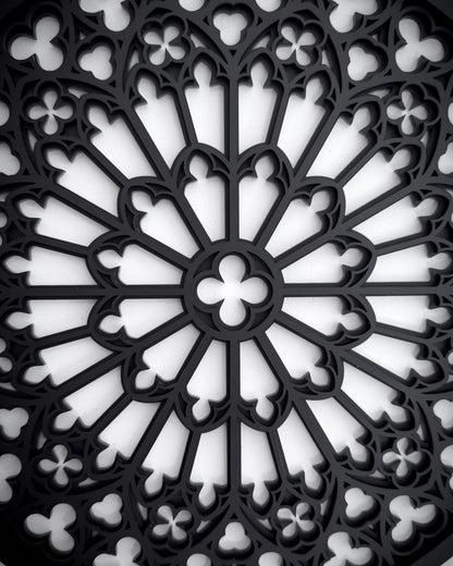 Close up details of Notre Dame cathedral rose window tracery gothic wall art
